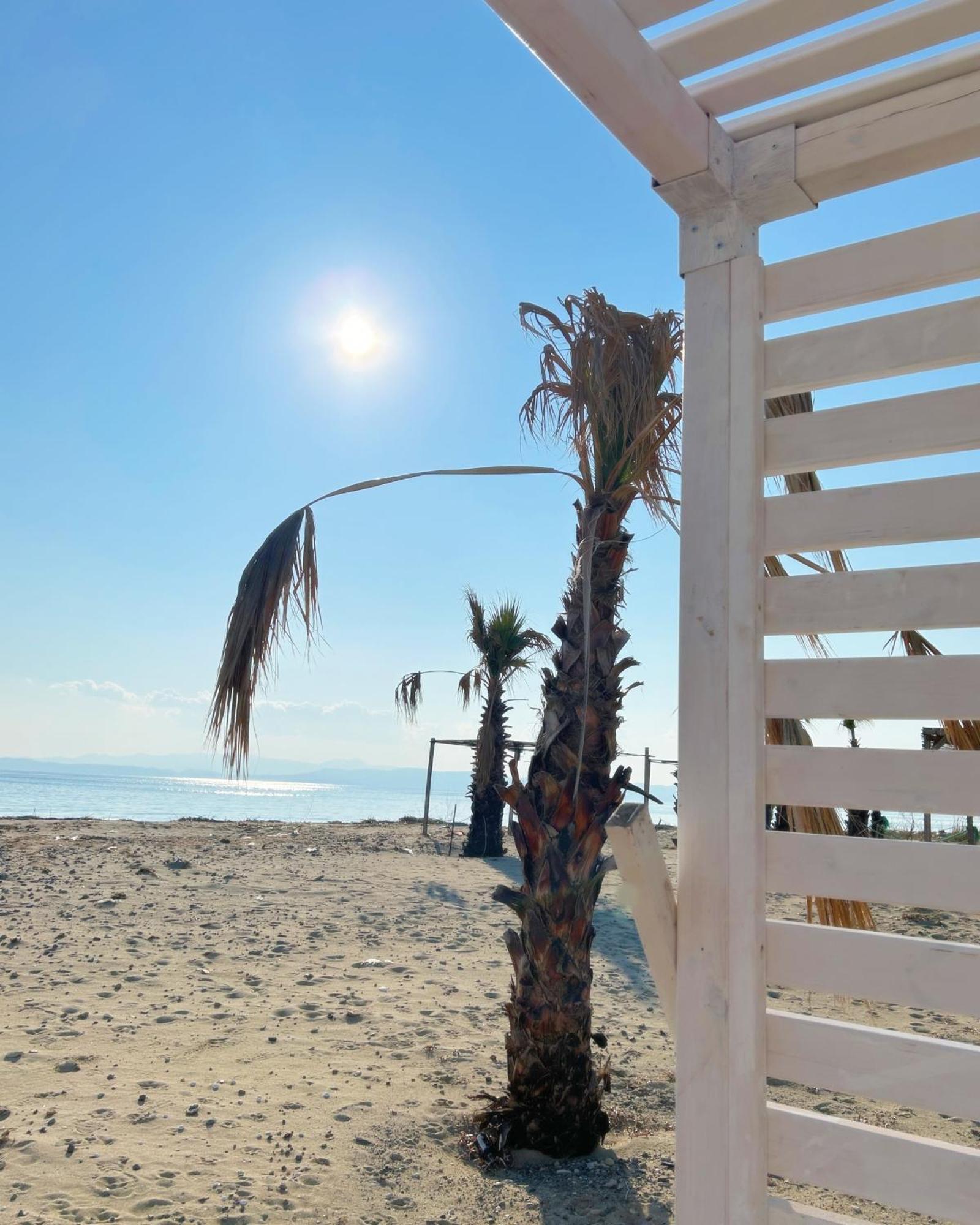 Soho Ayvalik Beach House Hotel Kucukkoy  Ngoại thất bức ảnh